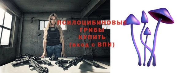 эйфоретик Касимов