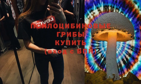 стафф Карталы