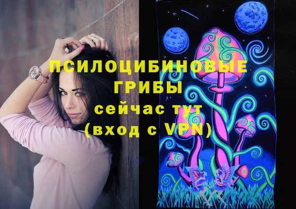 эйфоретик Касимов